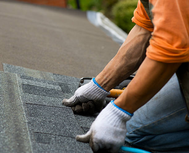 Best Roof Gutter Cleaning  in Kingstree, SC